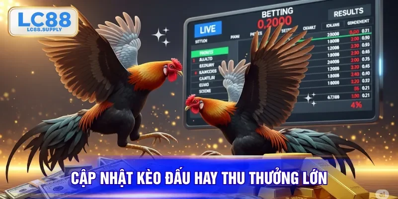 Cập nhật kèo đấu hay thu thưởng lớn